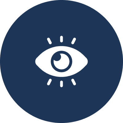 Our Vision